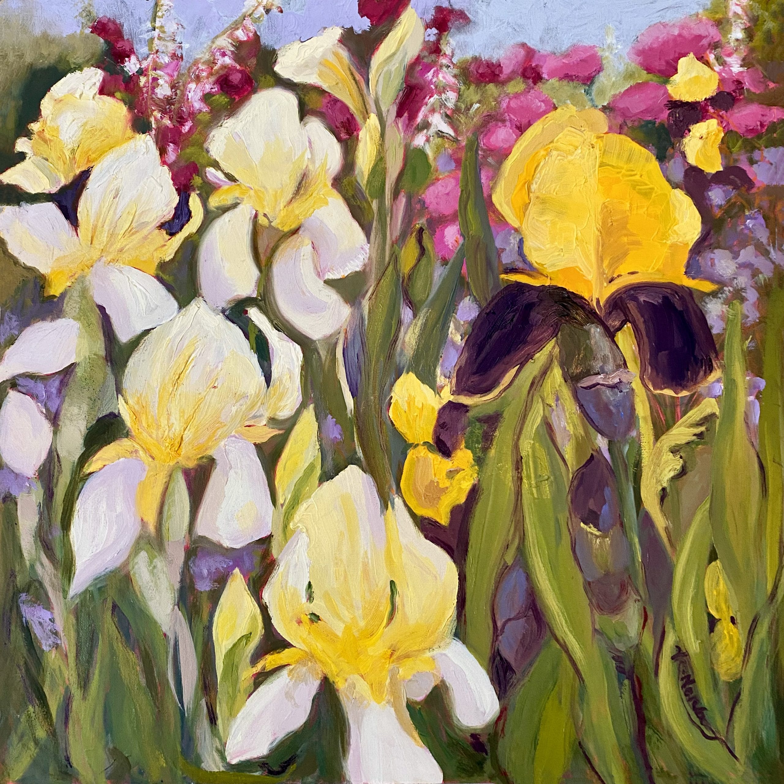 2513 SPECIAL FRIENDS